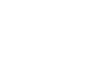 Alex logo